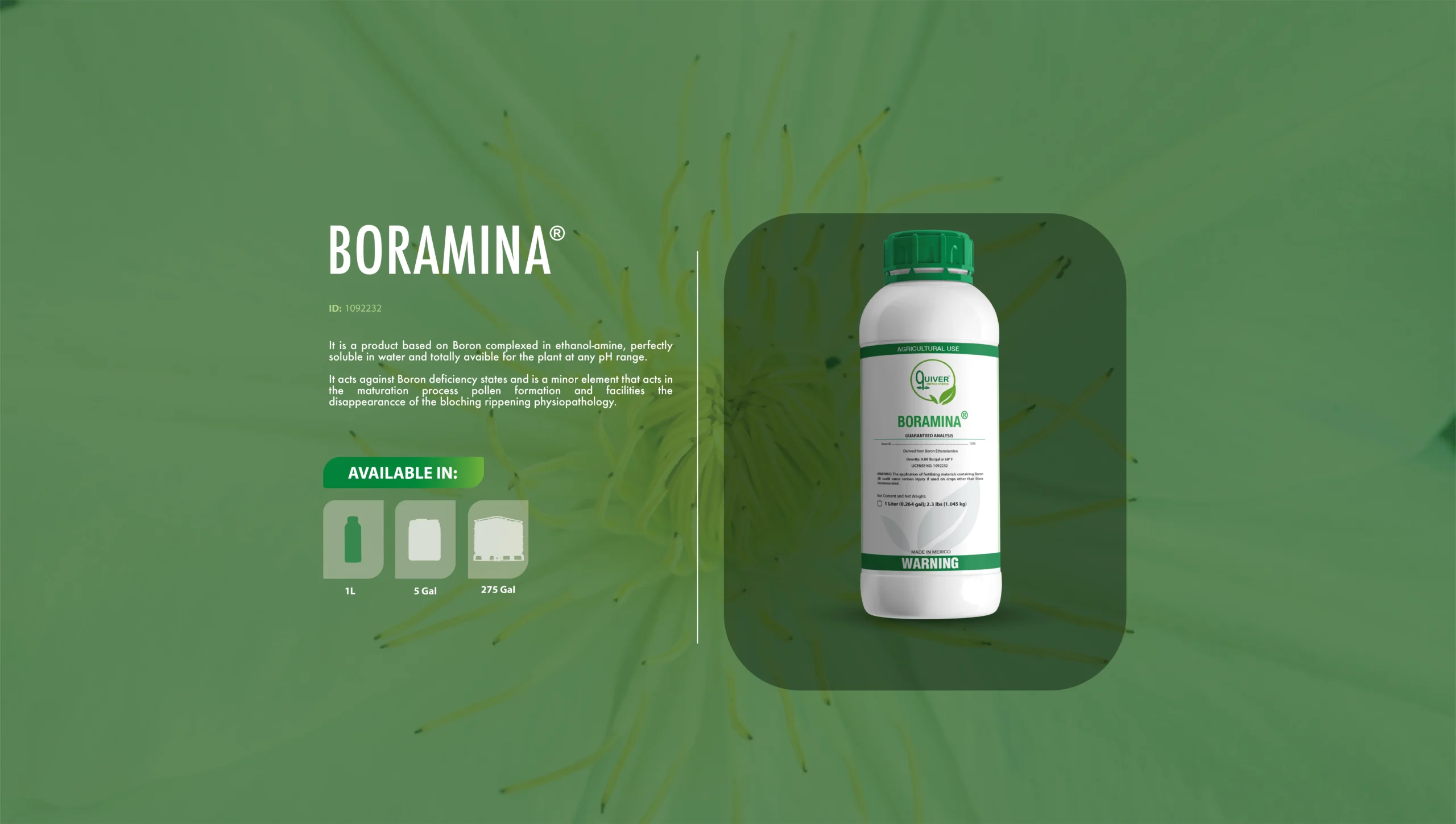 Boramina