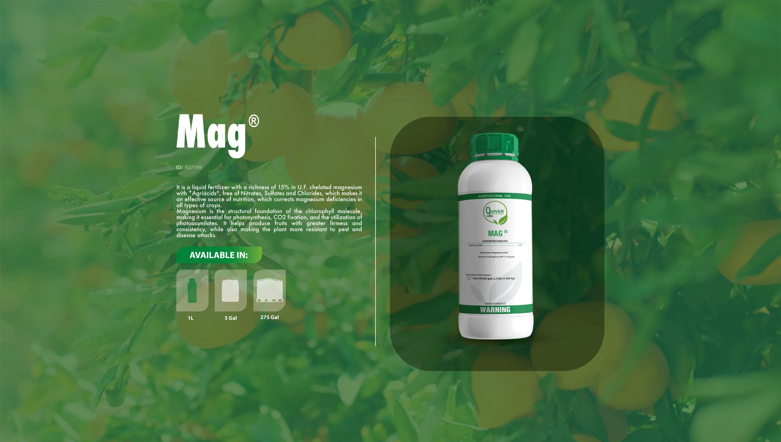 Mag