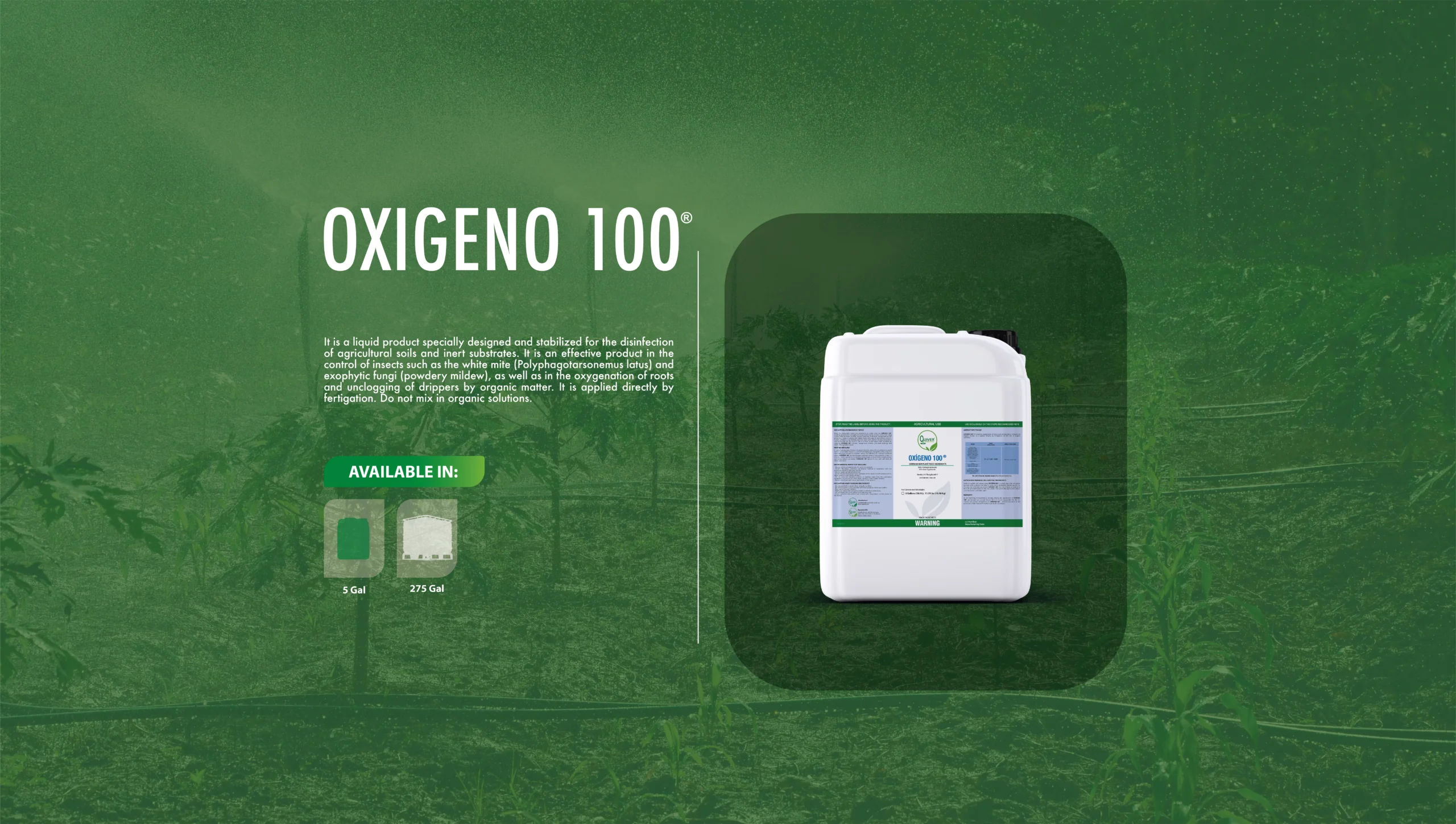 Oxigeno-100