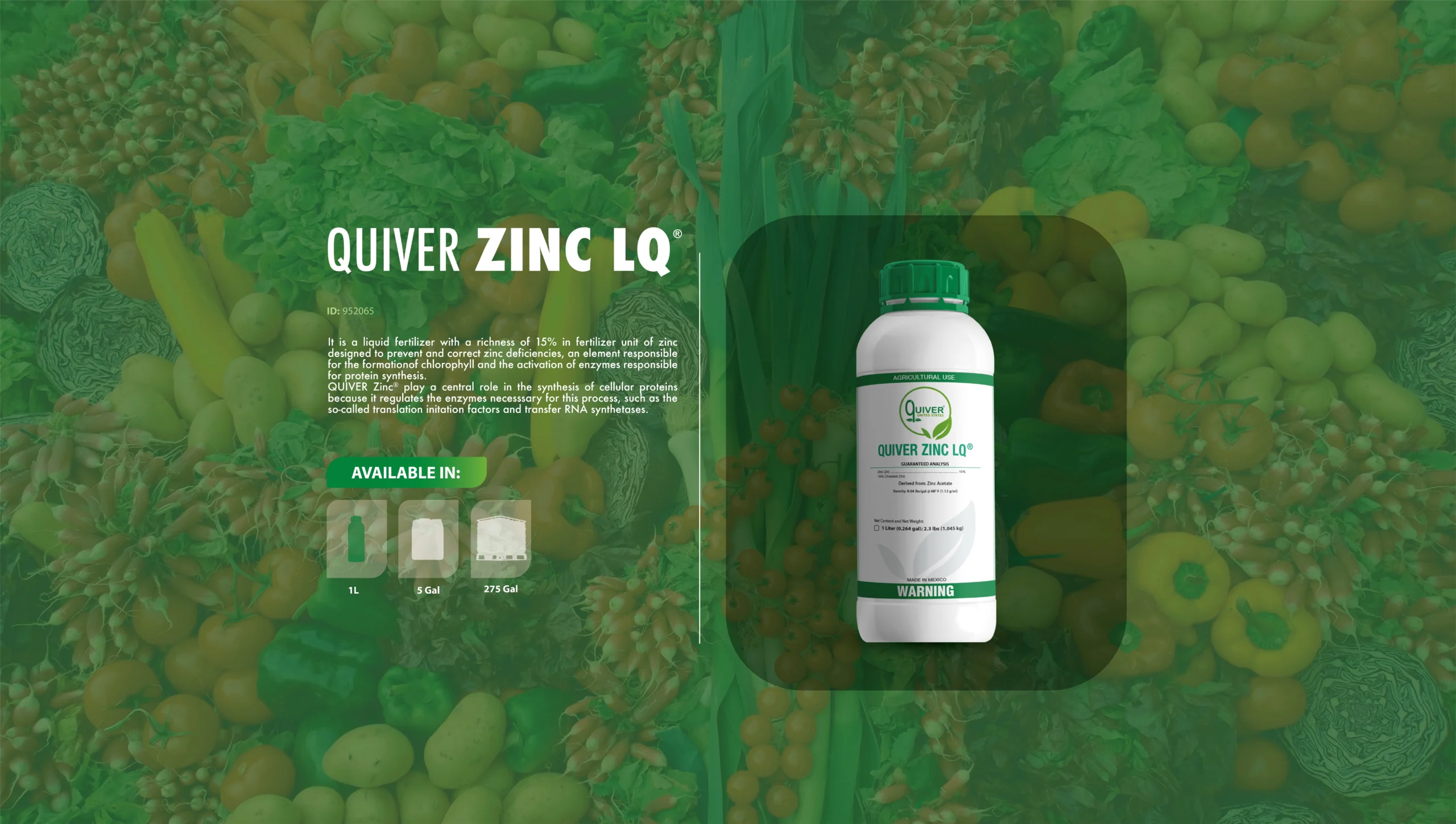 Quiver-Zinc-LQ