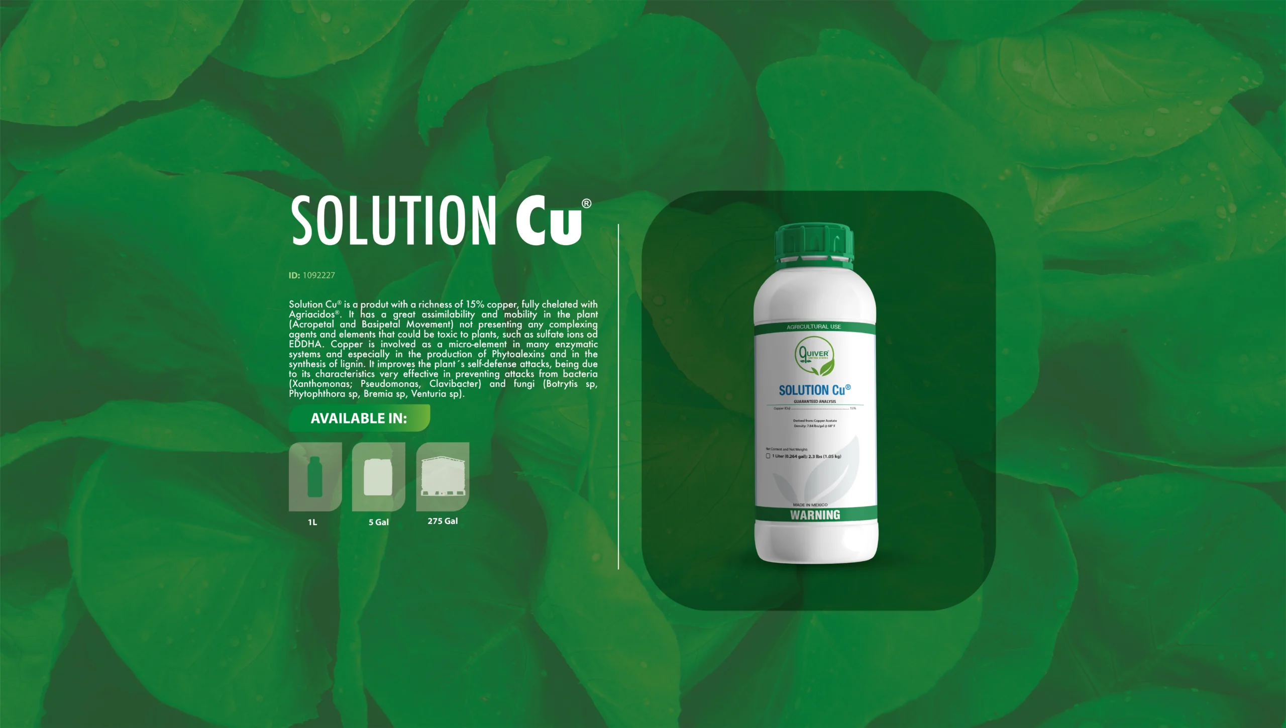 Solution-Cu